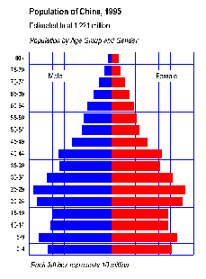 China Population Pyramid