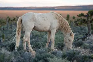 5-Sarah-Paravia-PHOTO2