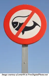 ID-100152011