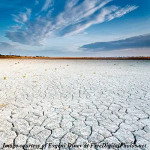 Drought