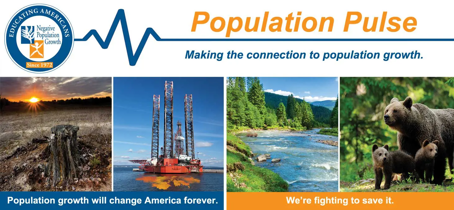 NPG Newsletter Header